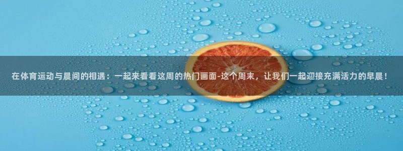 球速体育
