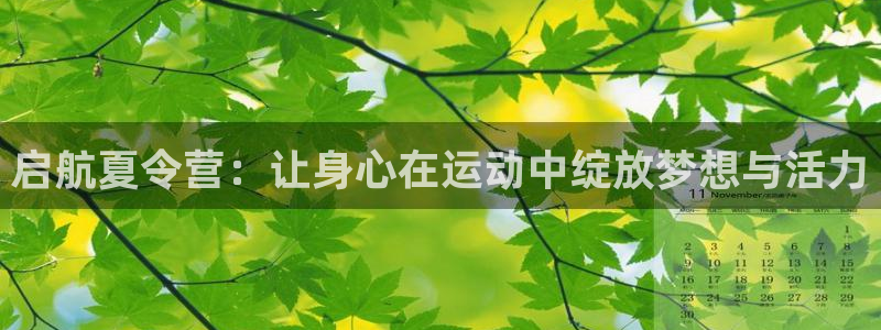 球速体育