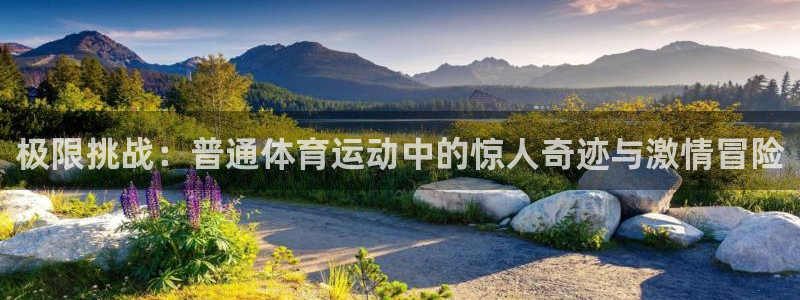 球速体育