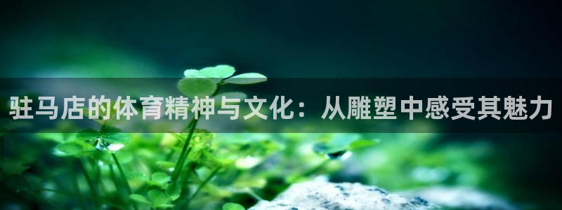 球速体育