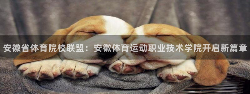 球速体育