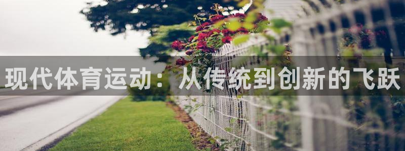 球速体育