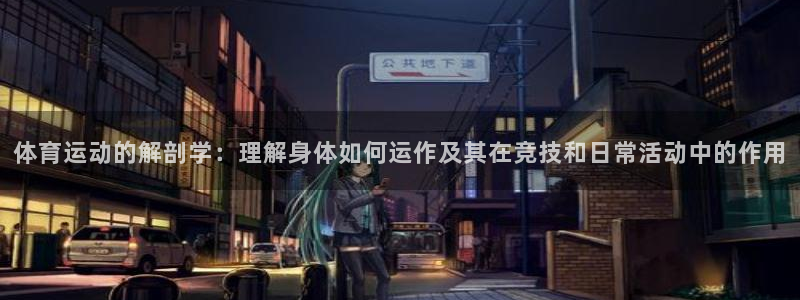 球速体育