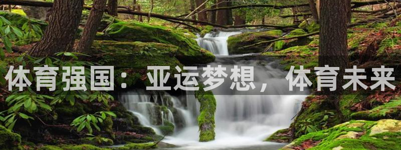 球速体育