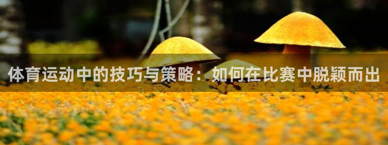球速体育