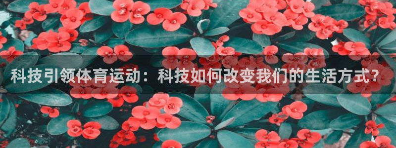 球速体育