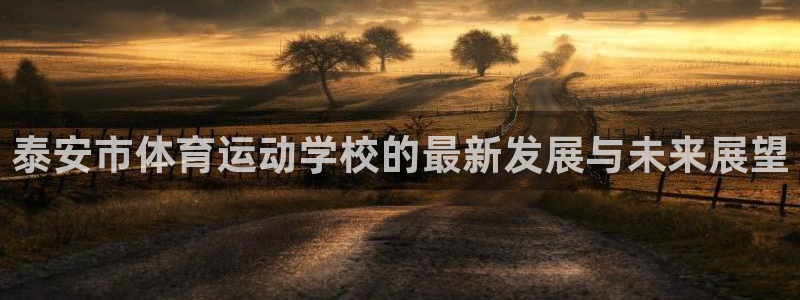 球速体育
