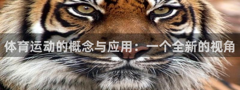 球速体育