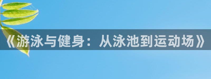 球速体育